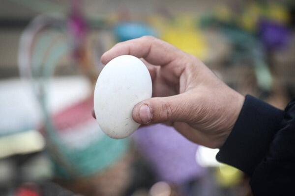 JEDNU STVAR NIKAKO, ALI NIKAKO NE SMETE DA URADITE NA VASKRS: Veruje se da donosi zastoj u napretku
