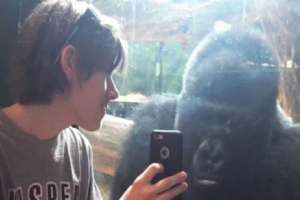 UHVAĆEN KAKO RADI OVO NA TELEFONU. SVI URALAJU OD SMEHA: Ljudi dolaze samo da gledaju (VIDEO)