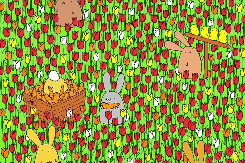 USKRŠNJI TEST KOJI JE MNOGE NAMUČIO: Možete li da pronađete JAJE? (FOTO)