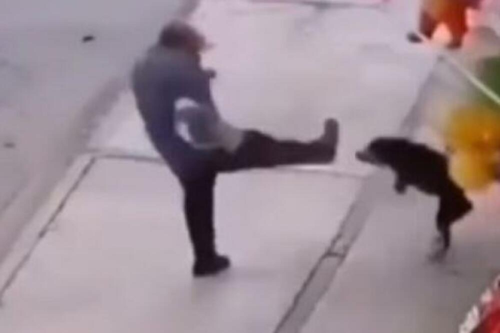 BRUTALNO IŠUTIRALI NEDUŽNE PSE, A ONDA IM JE BOG UZVRATIO: Snimak sve uznemirio (VIDEO)