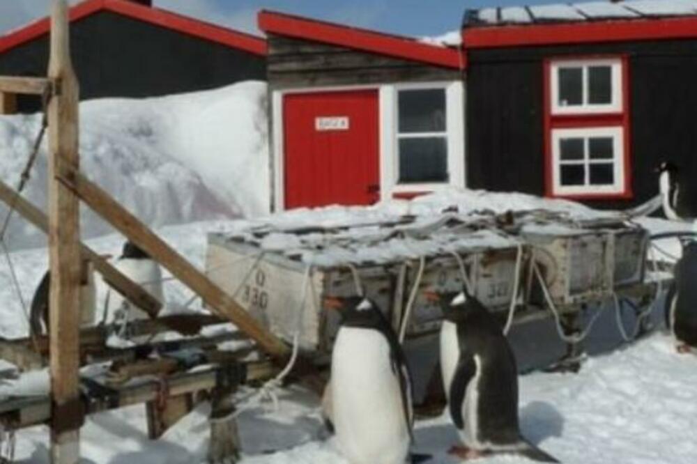 OTVOREN LEDENI KONKURS: Najudaljenija pošta na SVETU zapošljava, samo NAJHRABRIJI će prihvatiti OVU ponudu! (FOTO)