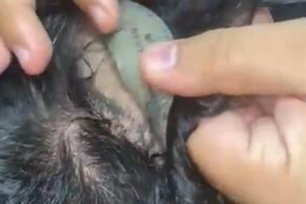 UHVAĆEN NA DELU! Pokušao da prokrijumčari istopljeno ZLATO, nećete verovati gde ga je SAKRIO (VIDEO)