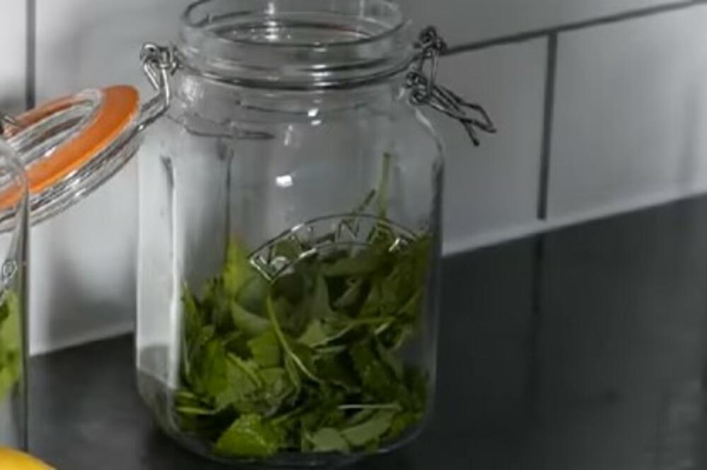 SVAKA SRPSKA KUĆA MORA DA IMA OVE 4 BILJKE: Za njih se kaže da su "SVETE", odmah ćete ih POSADITI