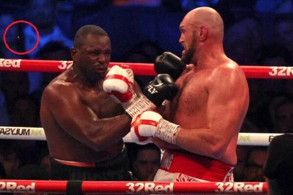 OVO SU SVI PROPUSTILI: Fjuri je razornim aperkatom IZBIO ZUB Vajtu! "Lansirao ga u Votford!" (VIDEO)