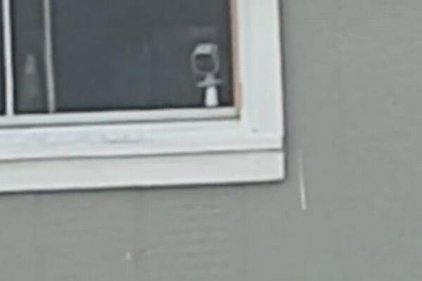 KAMEROM ŠPIJUNIRALA KOMŠINICU, PA JE VIDELA OVO U NJENOM DVORIŠTU: Nije dolazila sebi danima (VIDEO)