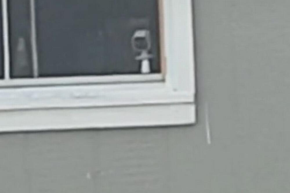 KAMEROM ŠPIJUNIRALA KOMŠINICU, PA JE VIDELA OVO U NJENOM DVORIŠTU: Nije dolazila sebi danima (VIDEO)