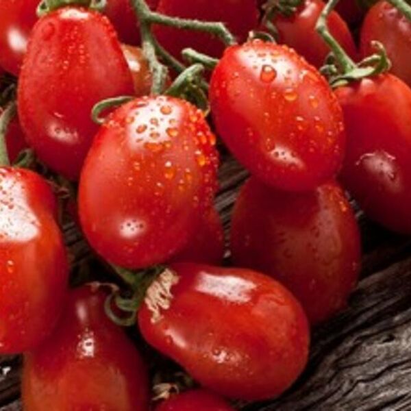 Svi ga stalno jedemo! Hitno povučen italijanski paradajz - HAPIH upozorava na ultra opasan pesticid