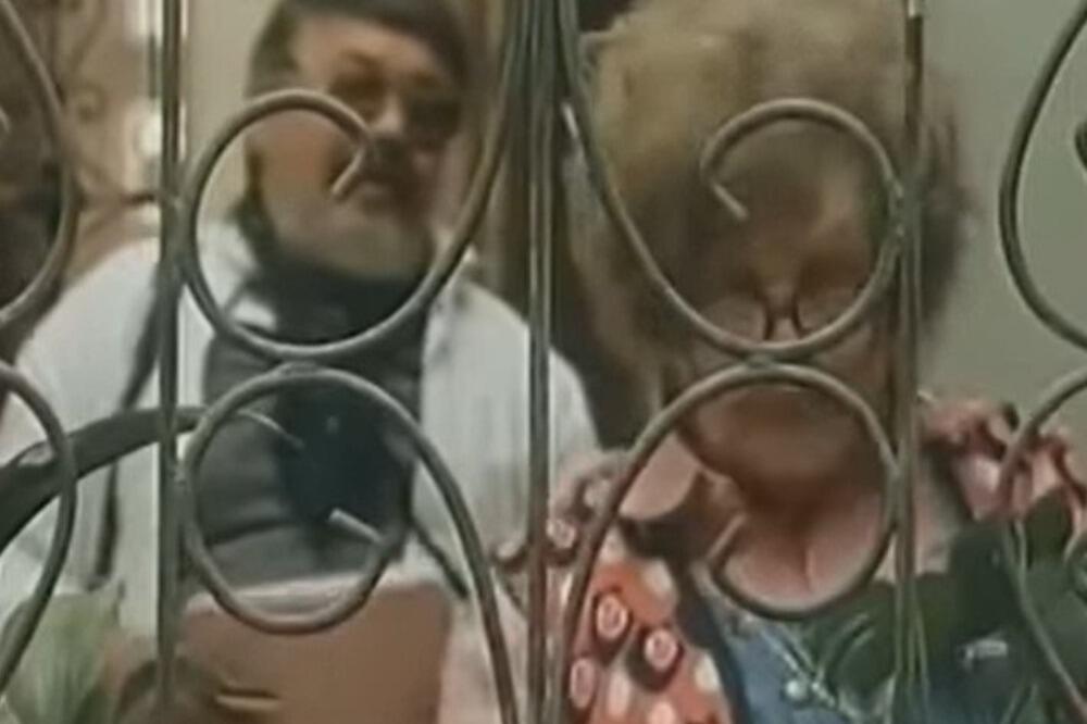 MISTERIOZNI FOTOGRAF IZ "TESNE KOŽE": Ko je glumac kojeg je cela bivša Juga zapamtila po LEGENDARNOJ SCENI? (VIDEO)