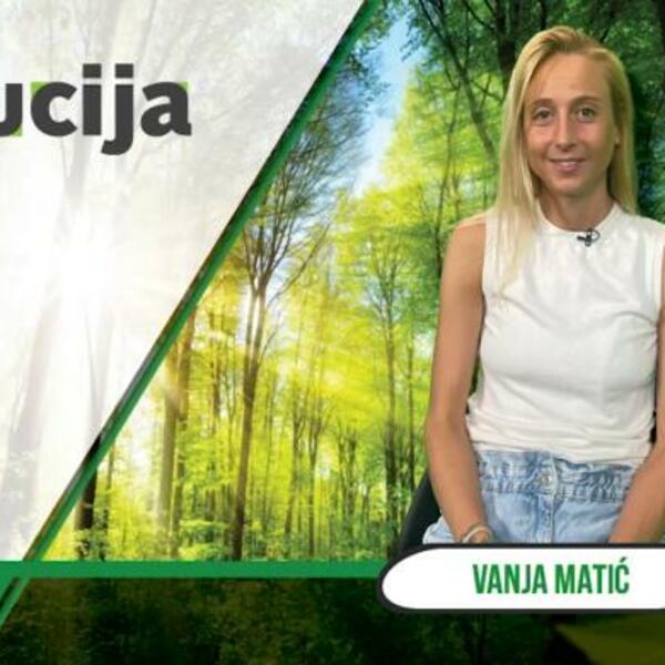 Vanja Matić ima taktiku koja je vodi do dobrih rezultata, važna je vizuelizacija (VIDEO)