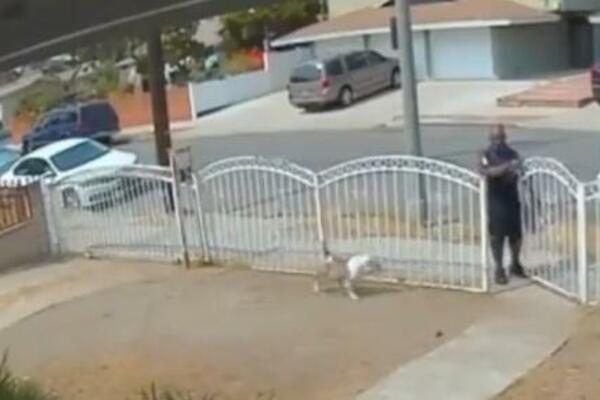 KRVOLOČNI PAS NAPAO ŽENU: Vrištala na sav glas, osvanuo je jezivi snimak (VIDEO)