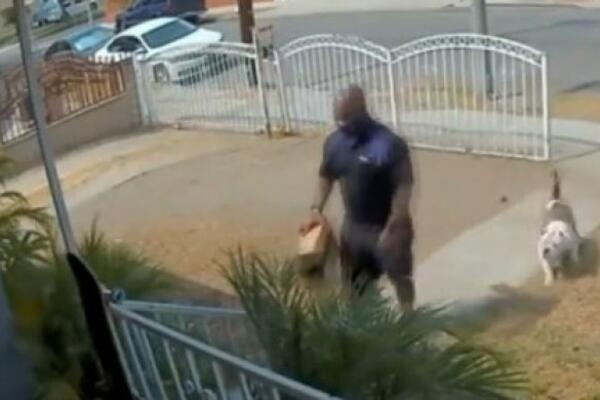 ČIM JE DOSTAVLJAČ UŠAO U DVORIŠTE, USLEDILA JE BORBA ZA ŽIVOT: I Bolt bi mu pozavideo (VIDEO)