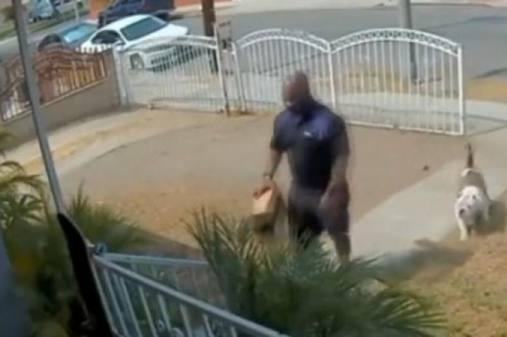 ČIM JE DOSTAVLJAČ UŠAO U DVORIŠTE, USLEDILA JE BORBA ZA ŽIVOT: I Bolt bi mu pozavideo (VIDEO)