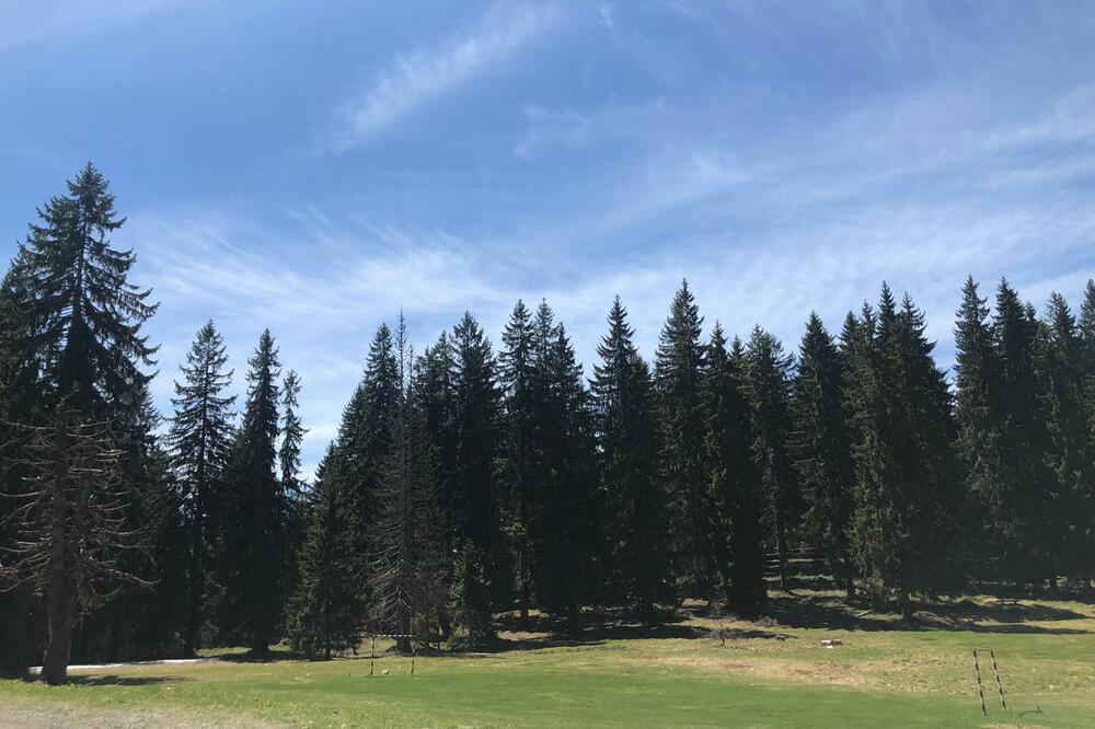OVA SRPSKA PLANINSKA LEPOTICA IMA 3 JEZERA, 2 REKE I ČAK 6 MANASTIRA: Top izbor za prolećni odmor (FOTO)