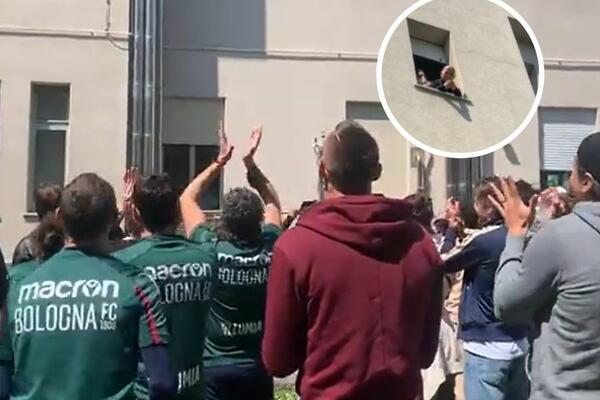 Nabujale emocije Mihajlovića nagao se, UMALO ISPAO KROZ PROZOR! Pesma igrača ispred bolnice i oduševljenje! (VIDEO)