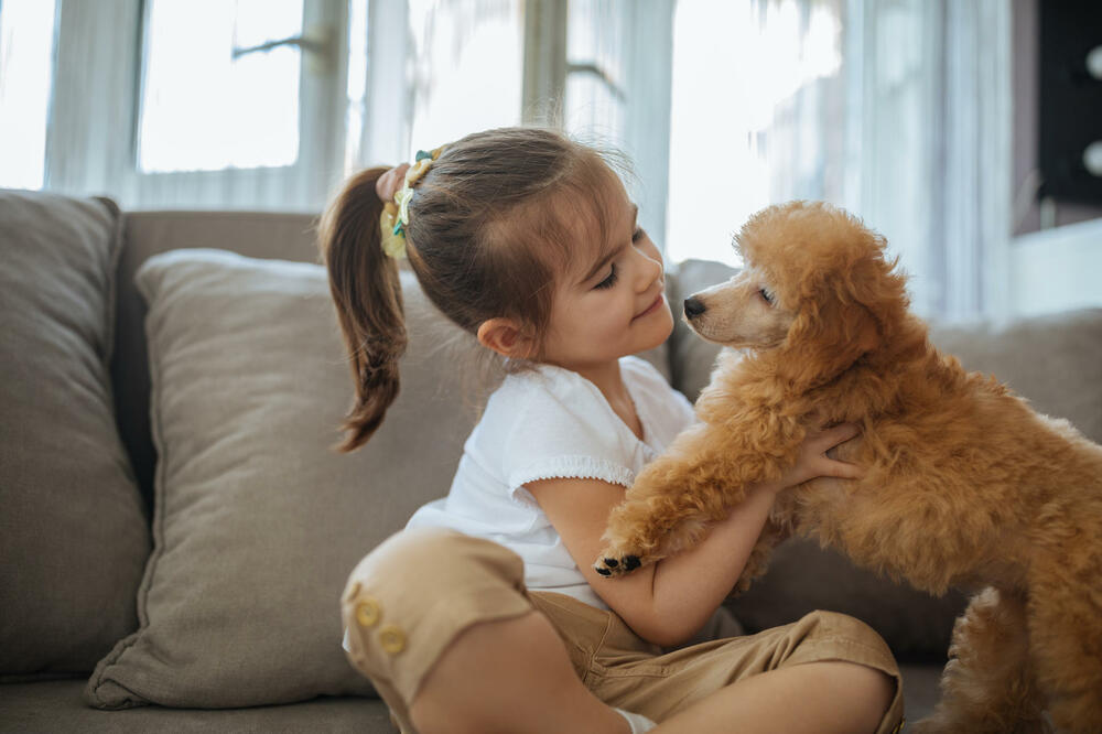 PSEĆA DLAKA PREPUNA ČVOROVA: Kako da svom ljubimcu raščešljate UĆEBANE delove, a da ga ne boli?