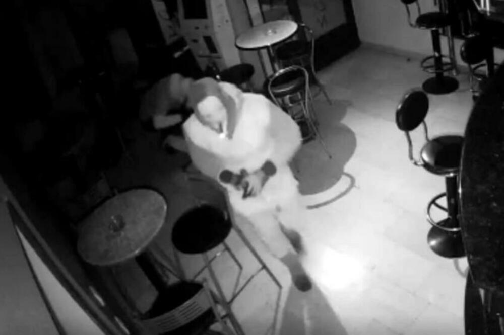 DVOJICA LOPOVA OPLJAČKALA LOKAL U SLATINI: Policija moli za pomoć u otkrivanju razbojnika (VIDEO)
