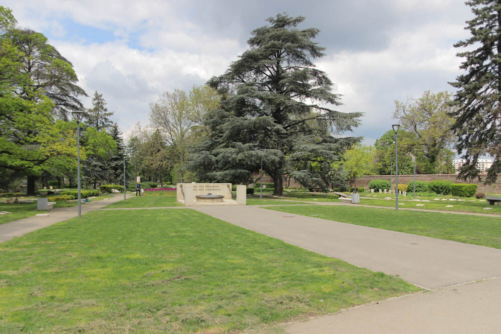 Drveće i park