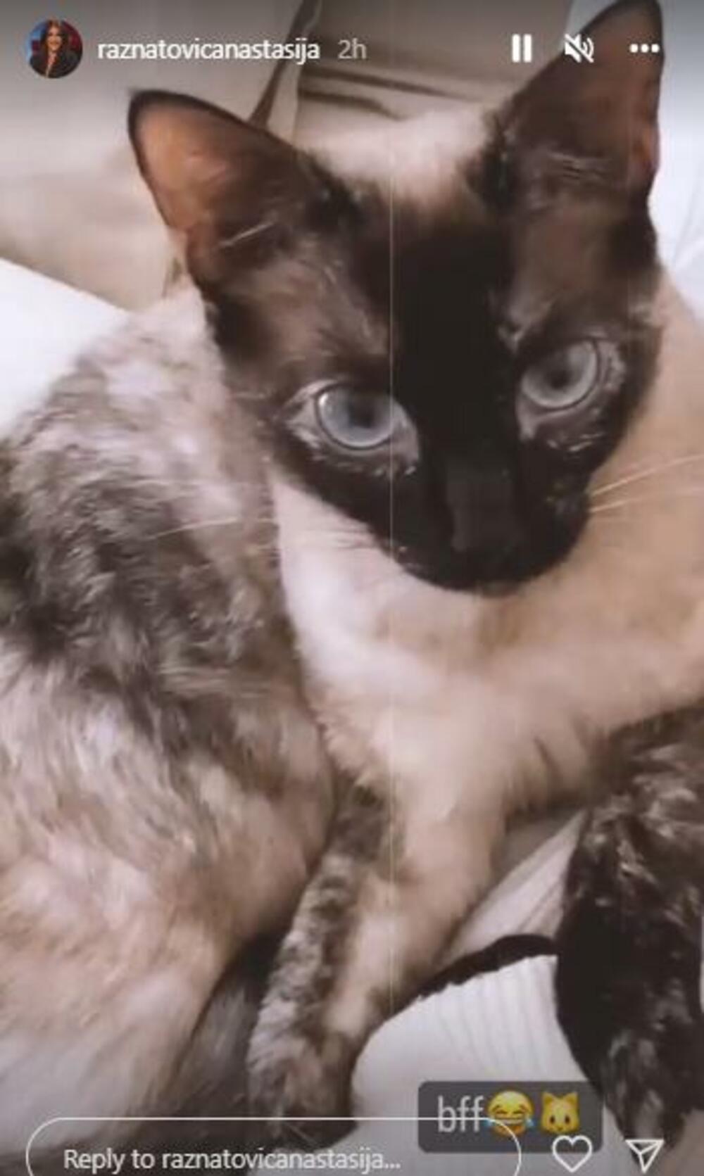 Anastasija Ražnatović