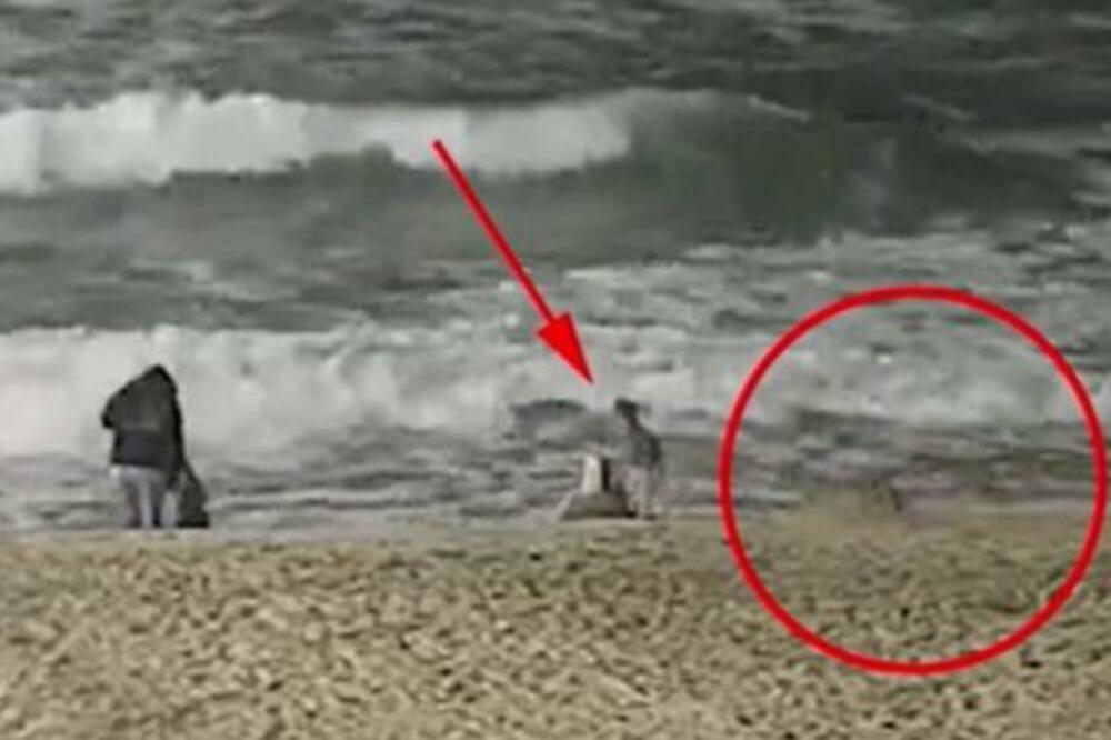 UŽAS U KALIFORNIJI, KRVOLOČNA ZVER NAPALA DETE: Preživljavalo je HOROR 15 sekudni, grizla ga je za LICE (FOTO)