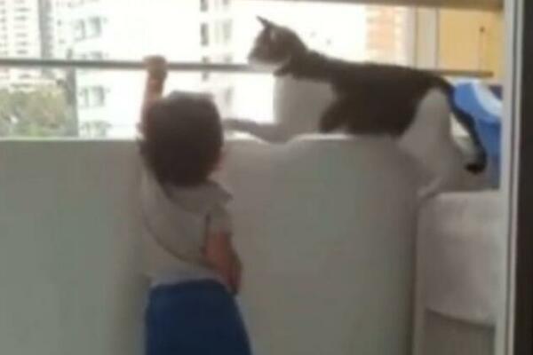 GDE SI KRENUO, MALI? Maca SPASILA život mališanu, čuva ga kao oči u glavi! (VIDEO)