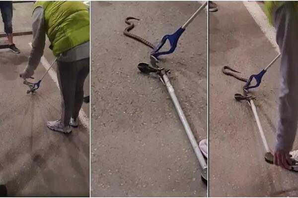 VIDEO JE POSKOKA NA PUTU, A ONDA URADIO NEŠTO ŠTO SE NIKAD NE RADI NAKON UJEDA ZMIJE: Svi prave ovu grešku!