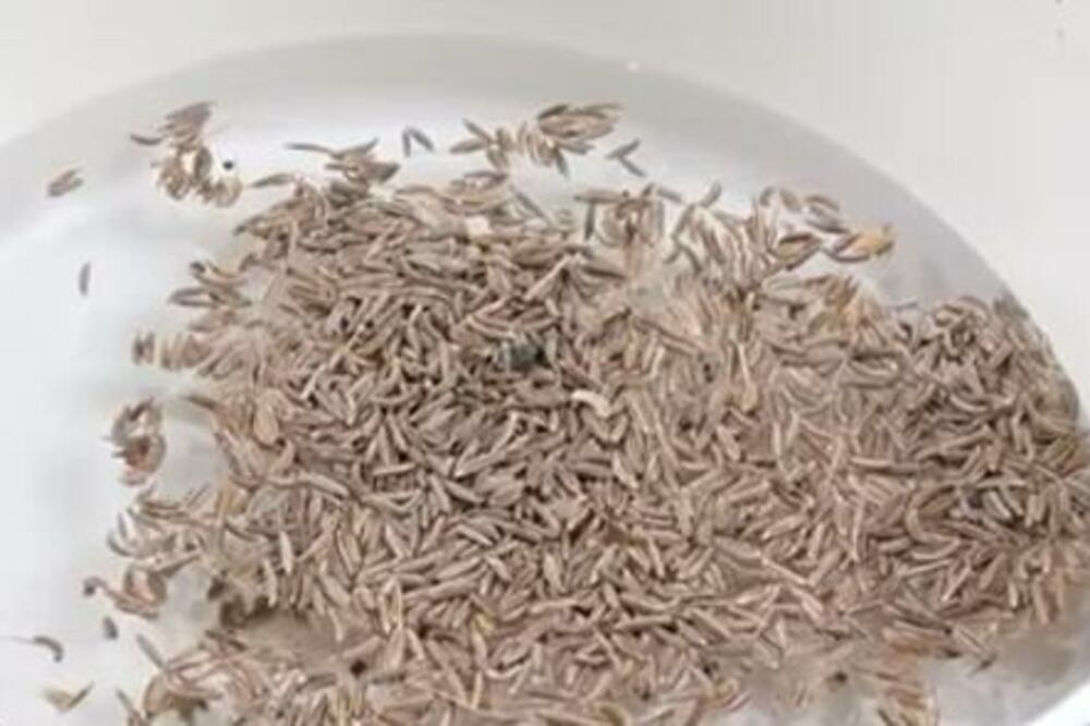 DODAJTE OVAJ ZAČIN U ČAŠU VODE I KILOGRAMI ĆE SAMI NESTATI: Poludećete za ovim načinom MRŠAVLJENJA