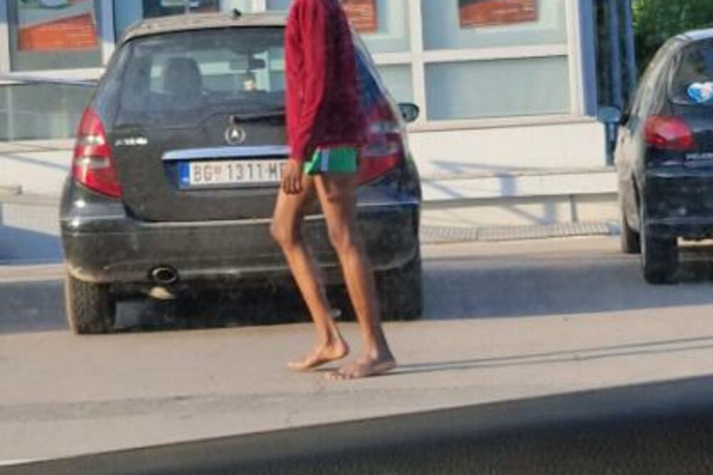 AFRIKA USRED SRBIJE: Beograđani gledali u ČUDU, šta se OVDE dešava?! (FOTO)