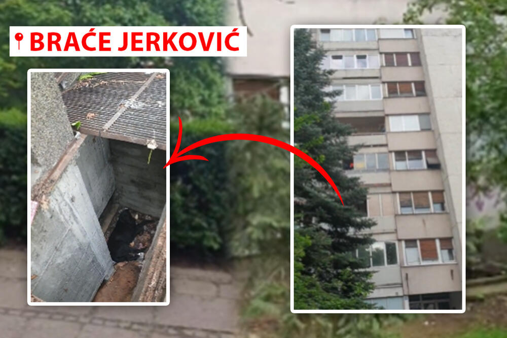 NA VOŽDOVCU OTVORENA RUPETINA DUBOKA 2 METRA U KOJU JE UPAO PAS! Iz Opštine su nam otkrili sledeći postupak (VIDEO)