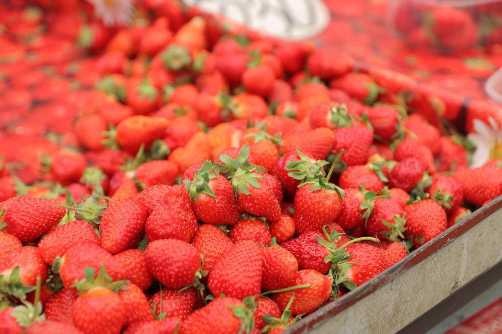 DIJETA SA VAŠIM OMILJENIM VOĆEM ODLIČNA PRED LETO: Zategnite figuru i BUDITE VITKE U BIKINIJU, ceo PRIMER JELOVNIKA