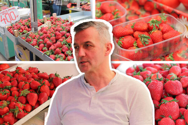 OTKRIVAMO KAKO DA PREPOZNATE DOMAĆE JAGODE! U marketima prodaju BUĐAVE za 69 dinara, EVO ŠTA KAŽU PIJAČNI PRODAVCI
