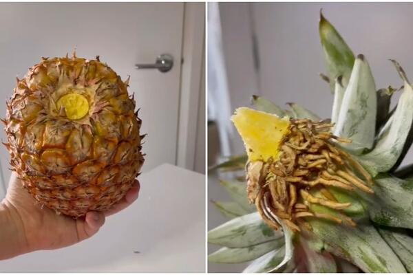 NEĆETE VEROVATI ŠTA SE DESI AKO PETELJKU ANANASA POTOPITE U VODU! Trljaćete oči na ovo (FOTO)