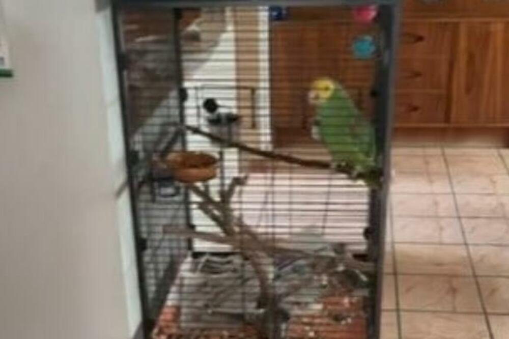 KRENULI DA PRIČAJU O BOGU, A ONDA IM JE ULETEO ON: Nasamario ih za života (VIDEO)