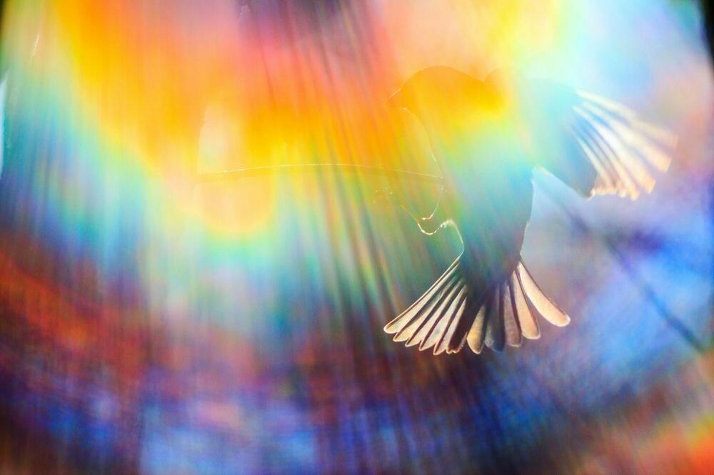 INDIJCI TVRDE DA SVAKI DAN U NEDELJI IMA SVOJU SREĆNU BOJU: Po njihovom VEROVANJU, danas vam baš ova donosi radost