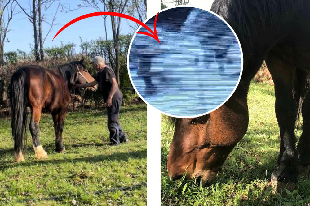 "MARKO JE UKRADEN NA MARKOVDAN": LOPOVI SU SNIMLJENI U NIŠU! Anđela nam je otkrila detalje LJUDSKE SRAMOTE (VIDEO)