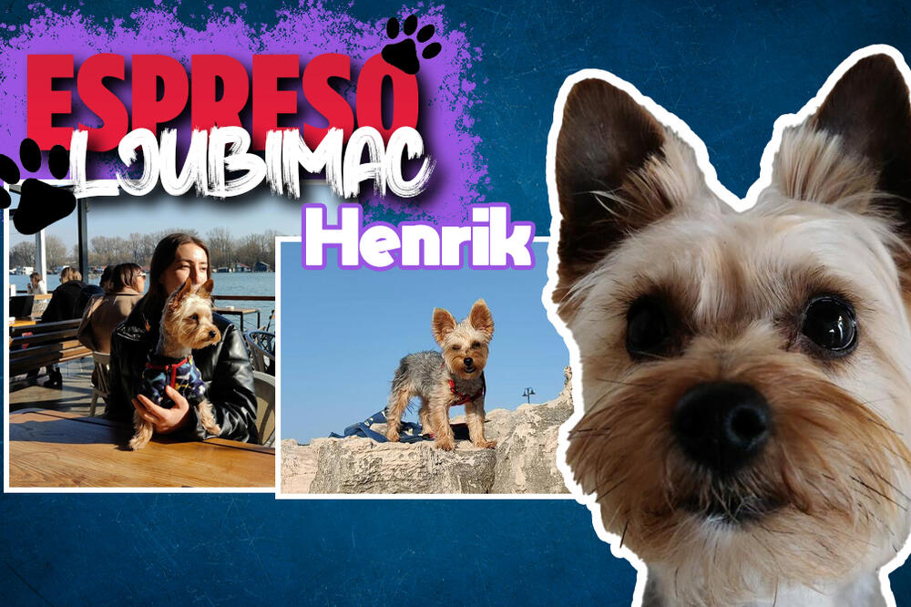 "NE JURIM MACE, NAJBOLJI SMO DRUGARI": Henrik je malo BLAGO velikog SRCA i danas je GLAVNA FACA "ESPRESO LJUBIMCA"