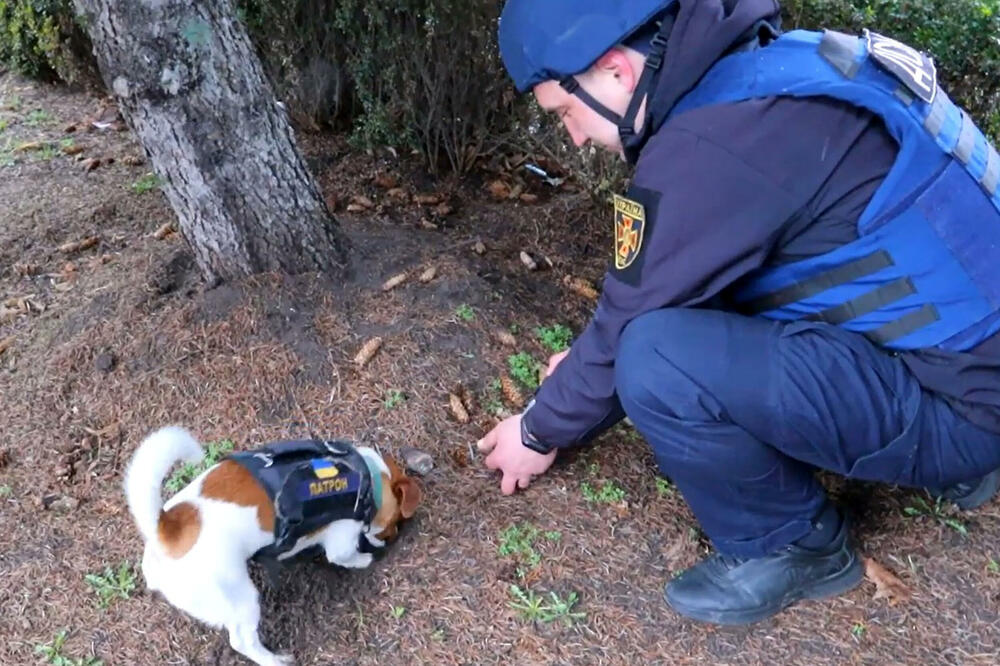 NAKON 3 MESECA POTRAGE PRONAĐEN MRTAV PLANINAR: Spasioci došli NA LICE MESTA, pa pored NJEGA ZATEKLI...