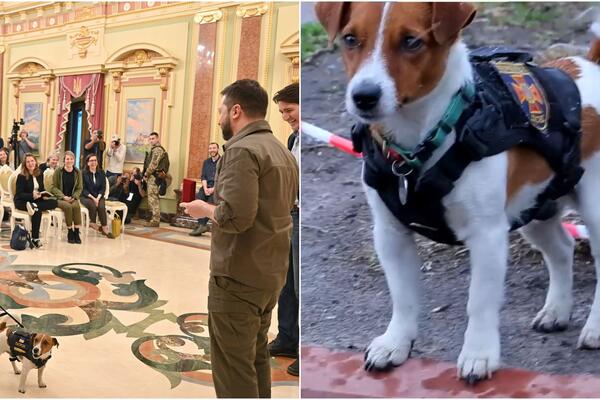 MEDENI HEROJ MUNJA DOBIO ORDEN OD VLADIMIRA ZELENSKOG: Zbog velikog JUNAŠTVA malom DŽEK RASELU UKAZANA ČAST! (FOTO)