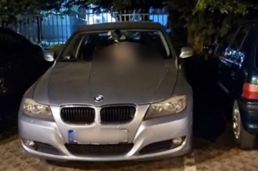 ŽIVOTINJSKA AKCIJA NA HAUBI BMW-A U NOVOM SADU! Snimljeno izbliza (VIDEO)