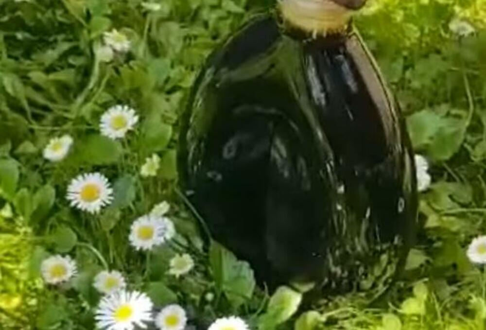 Orahovača, Rakija, Liker