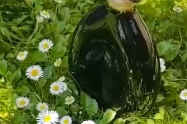 RECEPT ZA OVAJ NAPITAK TRENUTNO TRAŽE SVI SRBI: Ovo je NAJJEDNOSTAVNIJI način pripreme i svi ga MORARE PROBATI