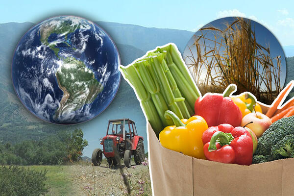 DA LI SU LOKALNE NAMIRNICE BOLJE ZA PLANETU? Deluje JEDNOSTAVNO, ali postoji CAKA, rešimo NEDOUMICU jednom ZAUVEK!