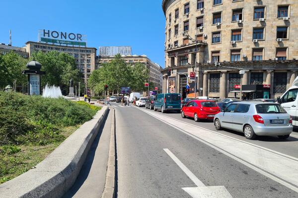 NAJEZDA PACOVA I MIŠEVA U CENTRU BEOGRADA