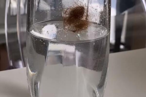 EVO KAKO DA SAZNATE U KAKVOM STANJU JE VAŠA KOSA: Potrebna vam je SAMO ČAŠA VODE! (VIDEO)