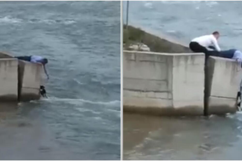 NAPUSTIO SVADBU DA BI SPASIO PSA IZ NABUJALOG LIMA: Rizikovao život, KAKAV HOROJ, KAPA DOLE! (VIDEO)