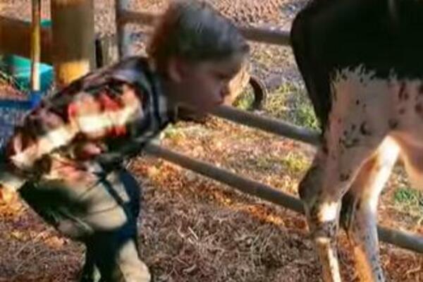 POGLEDAO U ZADNJICU KOZE I OBORIO INSTAGRAM SA NOGU: Mali naučnik proučavao, proučavao, PA NAPRAVIO VIRAL! (VIDEO)