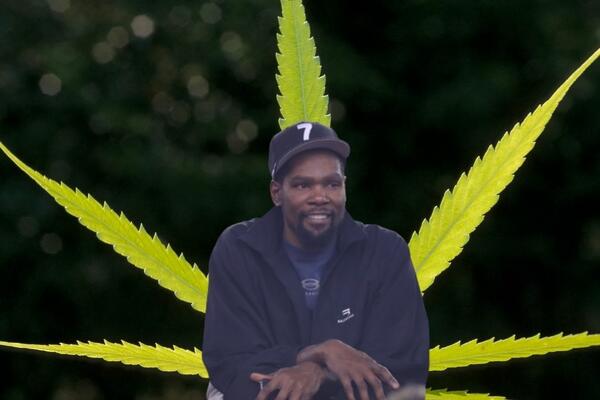 MARIHUANA ILI VINO - Durent ne vidi razliku!