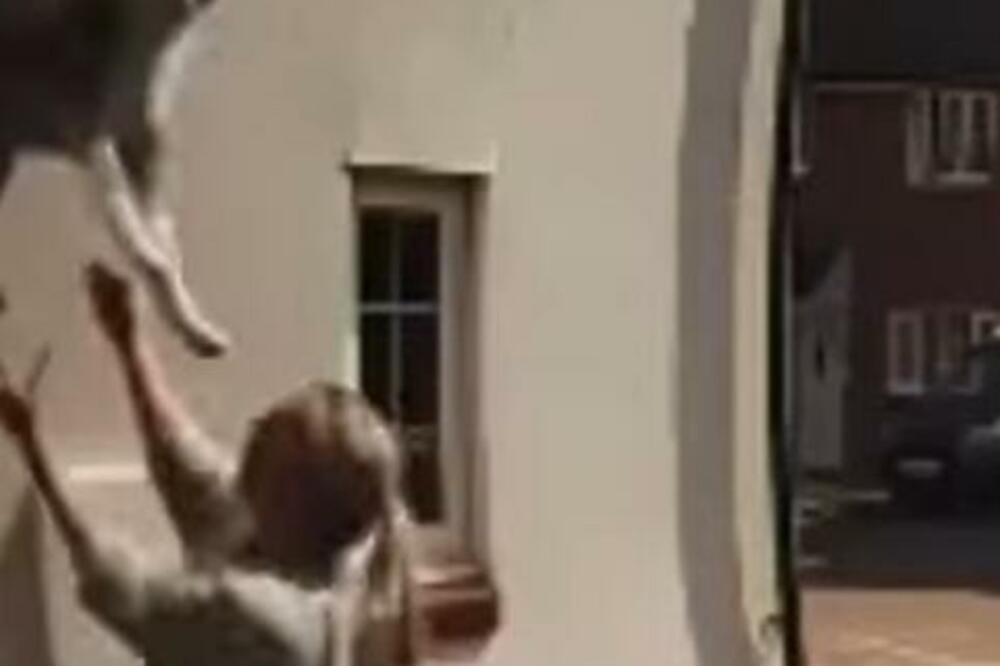 SNIMAK ŽENE KAKO SPAŠAVA PSA OD SIGURNE SMRTI OBIŠAO SVE: Razbio bi se o pločnik da nije OVO URADILA (VIDEO)