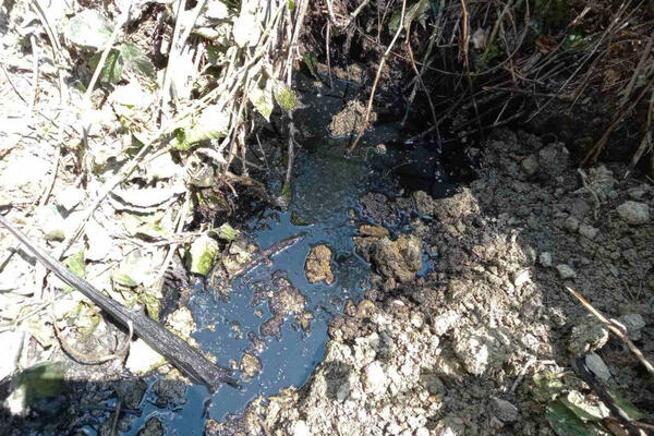 ZAVRŠIO NA INFUZIJI ZBOG VODE SA IZVORA KOD LJUBOVIJE! Ovo pluta potokom, KATASTROFA u najavi! (FOTO)