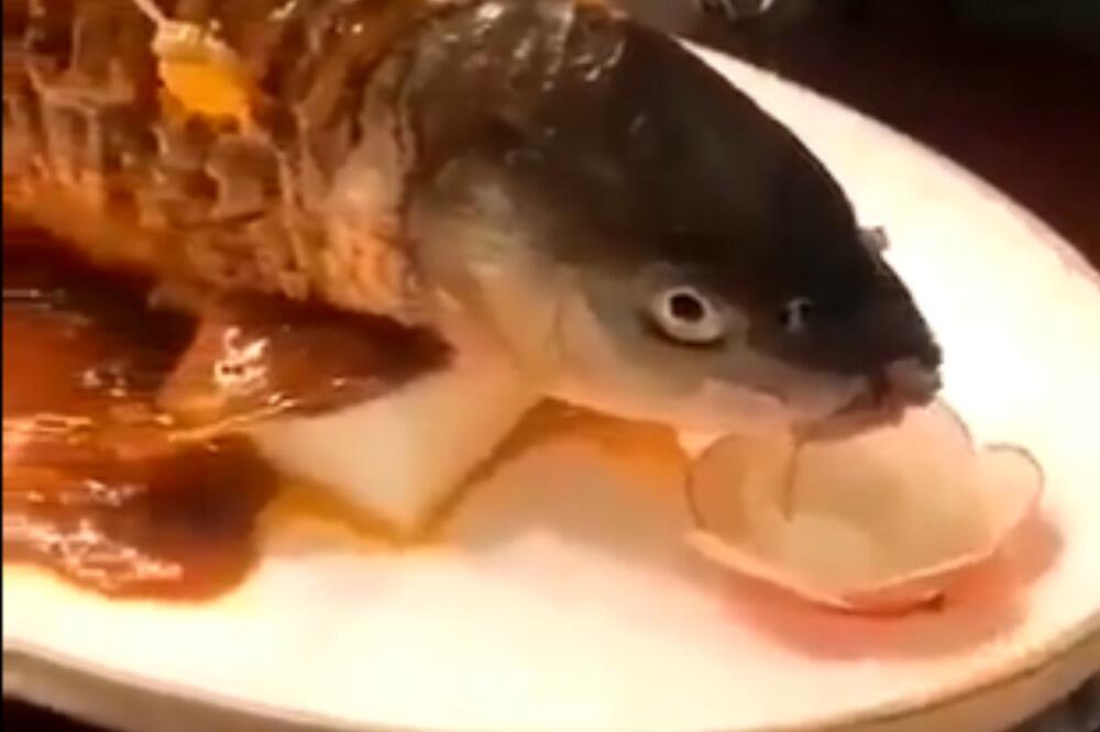 ZNATE LI ŠTA ZNAČI AKO SANJATE RIBU?! U jednom slučaju vam dolazi OGROMAN NOVAC U RUKE