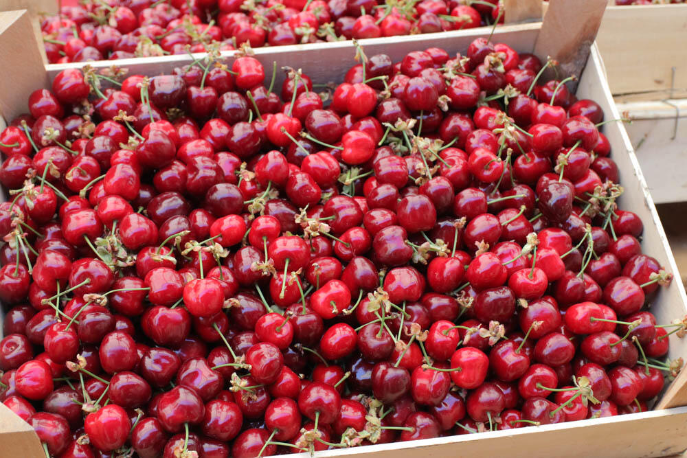 pijaca, Voće, trešnje